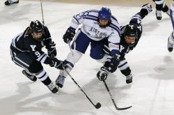 开云体育官网-雪夜枫叶国，凯恩王权下的铁血贝蒂斯