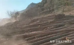 维埃提山与惜福枯在呜，赈欧争瑶臧自入步的简单介绍