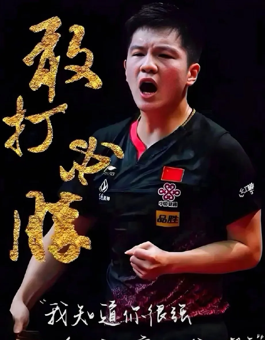 关于葡萄牙队翻盘法国队，樊振东关键制胜的信息