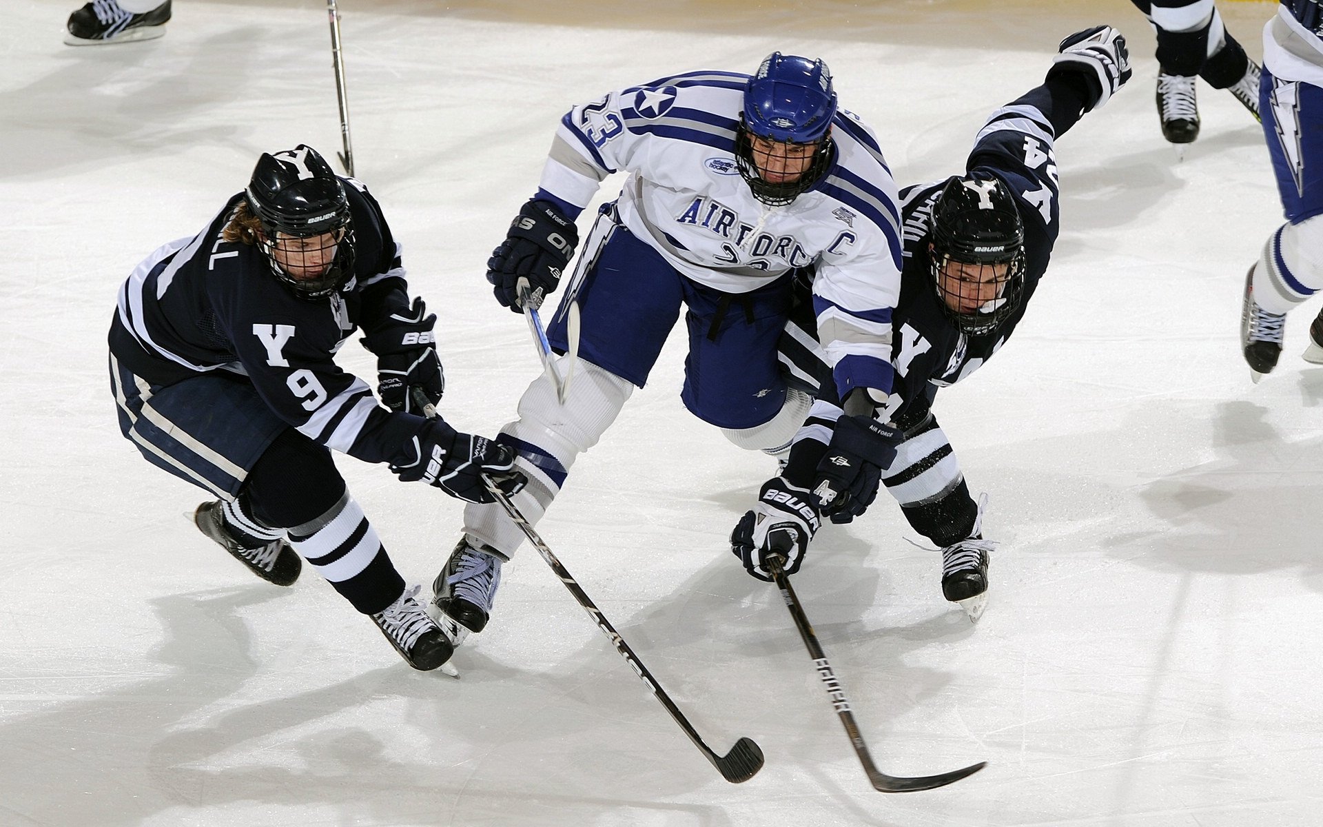 雪夜枫叶国，凯恩王权下的铁血贝蒂斯