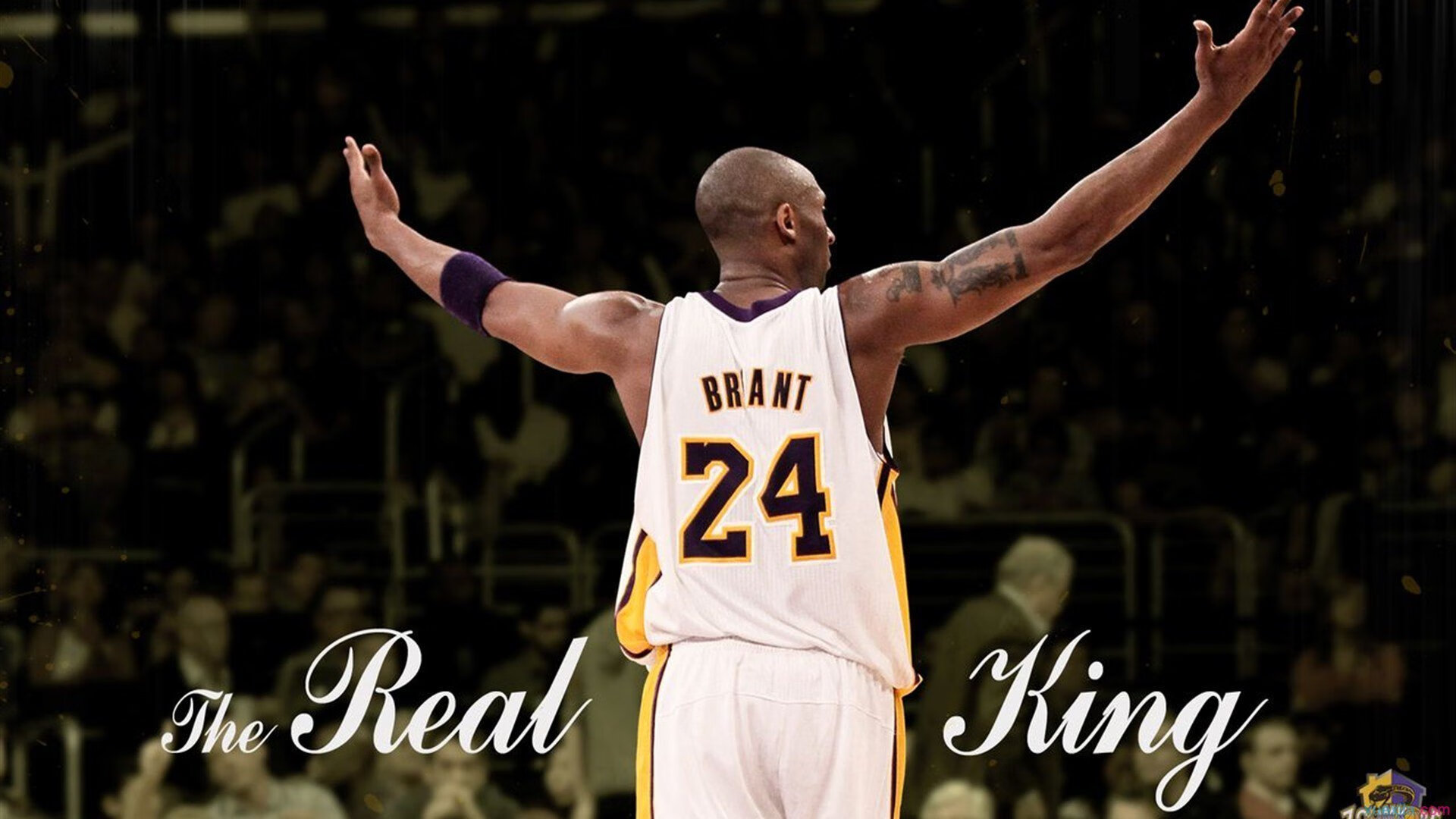 黑马逆袭夜，双子星光耀哥本哈根