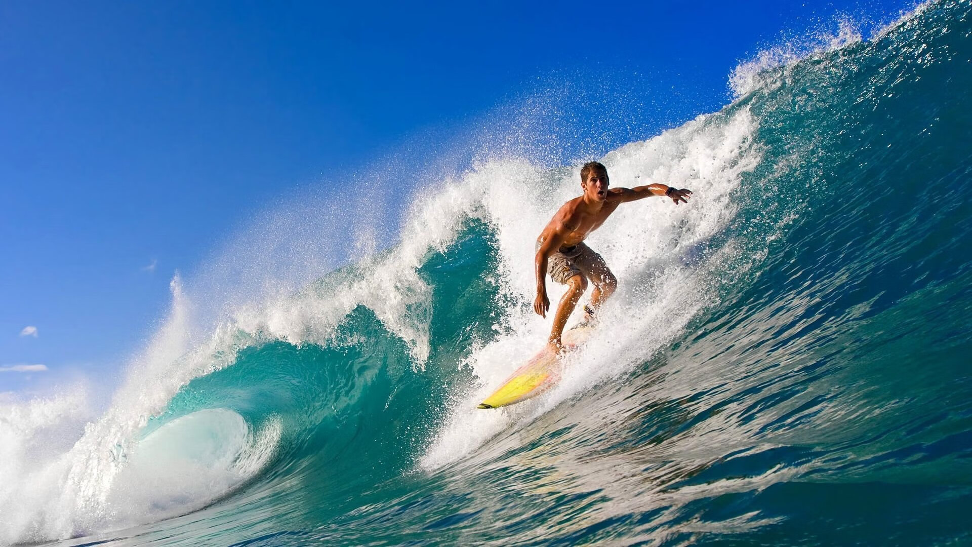 从联合杯滑铁卢到年终总决赛称霸,兹维列夫的救赎之钥与唯一性胜利